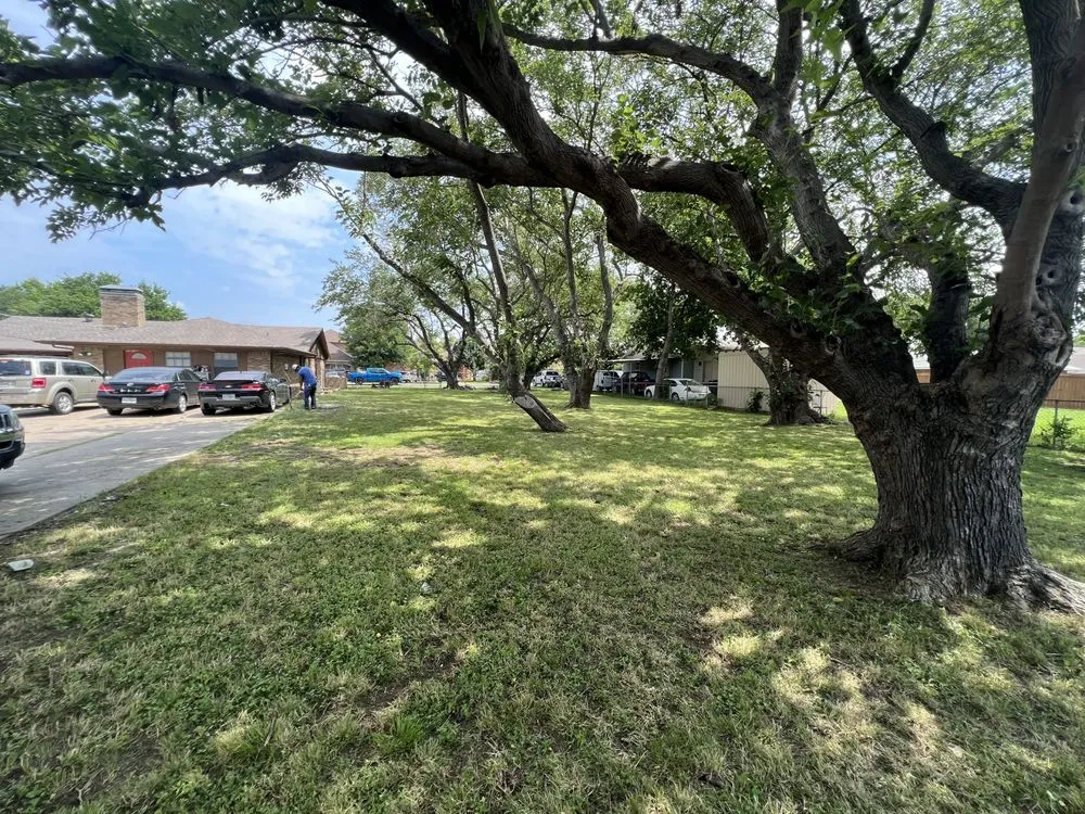 Reliable landscaping services for beautiful yards in Grand Prairie, TX by Pesina Landscaping