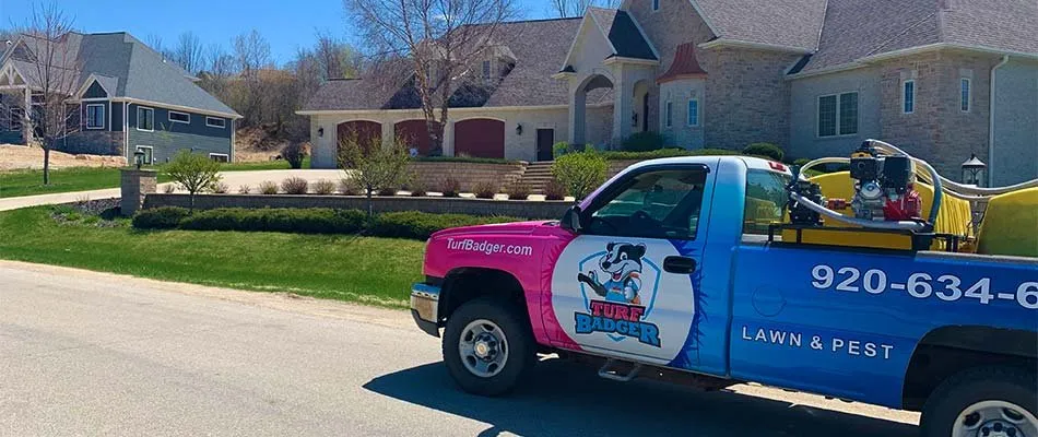 Top-rated lawn care service with custom design across Buffalo, MN - Pest Badger
