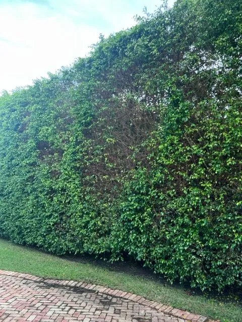 Trusted landscape installation for residential properties in Miami Lakes, FL by Pest Brothers