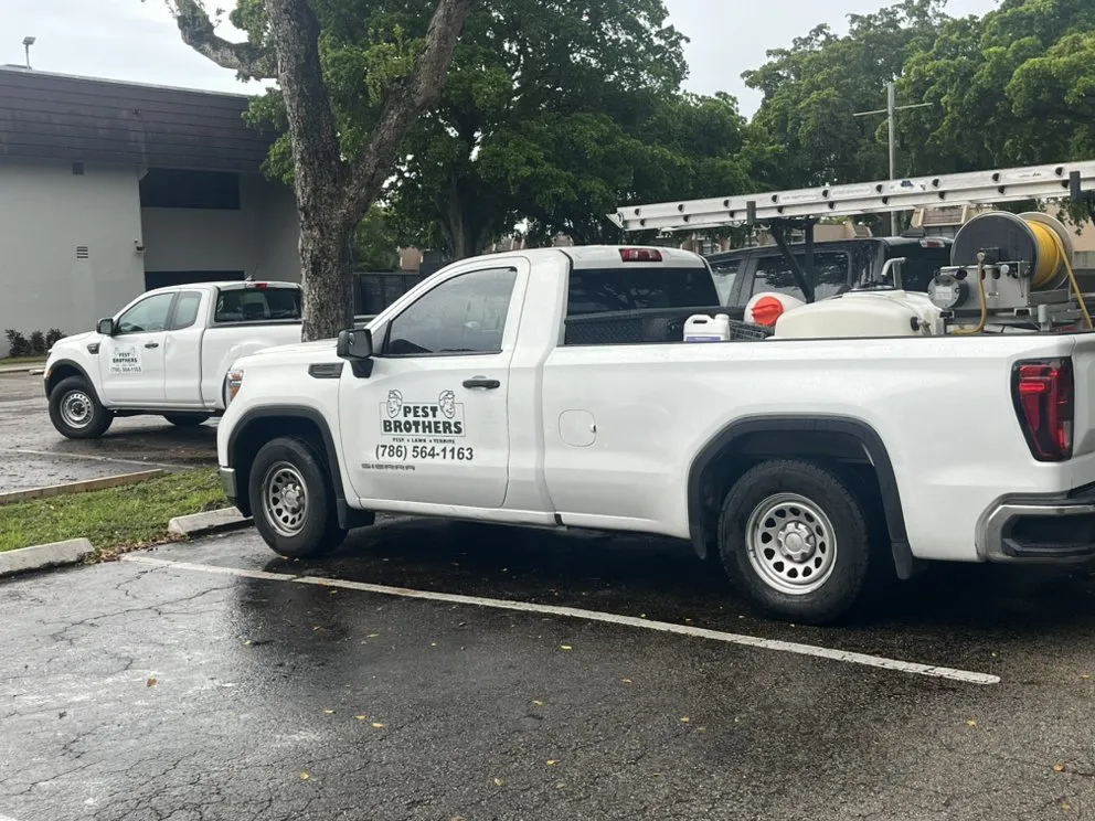 Expert landscape installation with custom design in Miami Lakes, FL by Pest Brothers