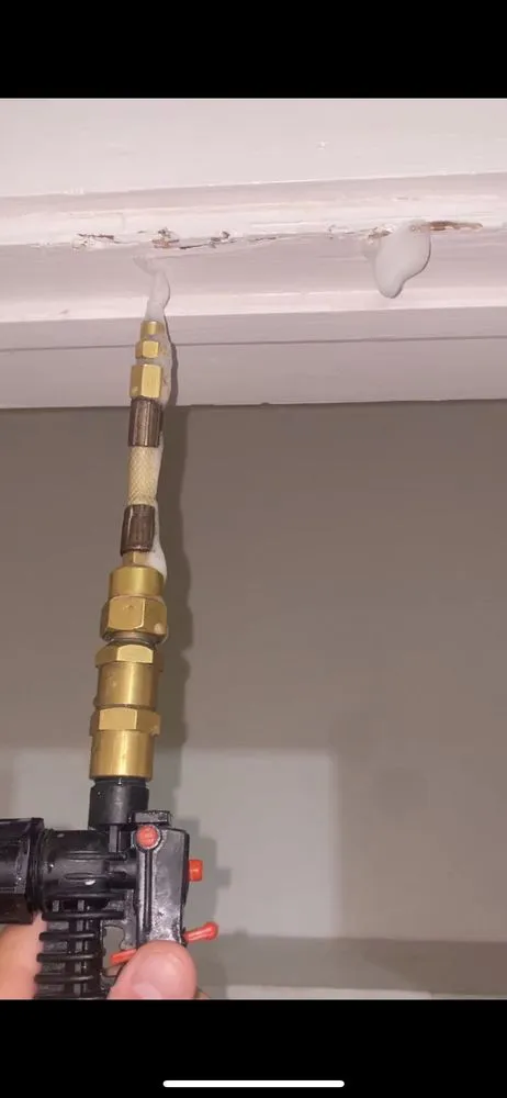 Affordable outdoor landscaping in Miami Lakes, FL - Pest Brothers