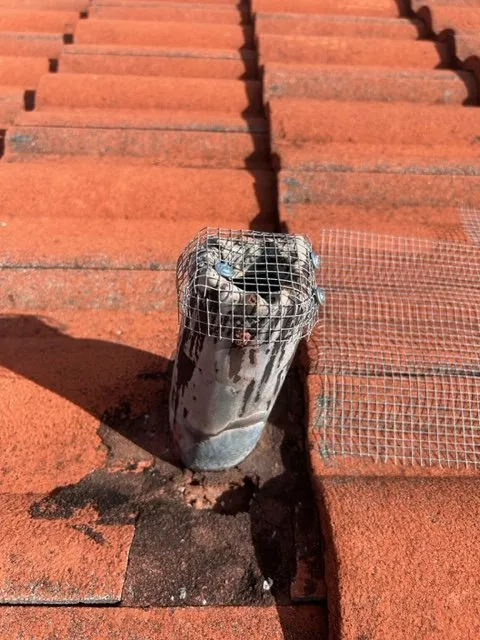 Reliable landscape design near you in Miami Lakes, FL by Pest Brothers