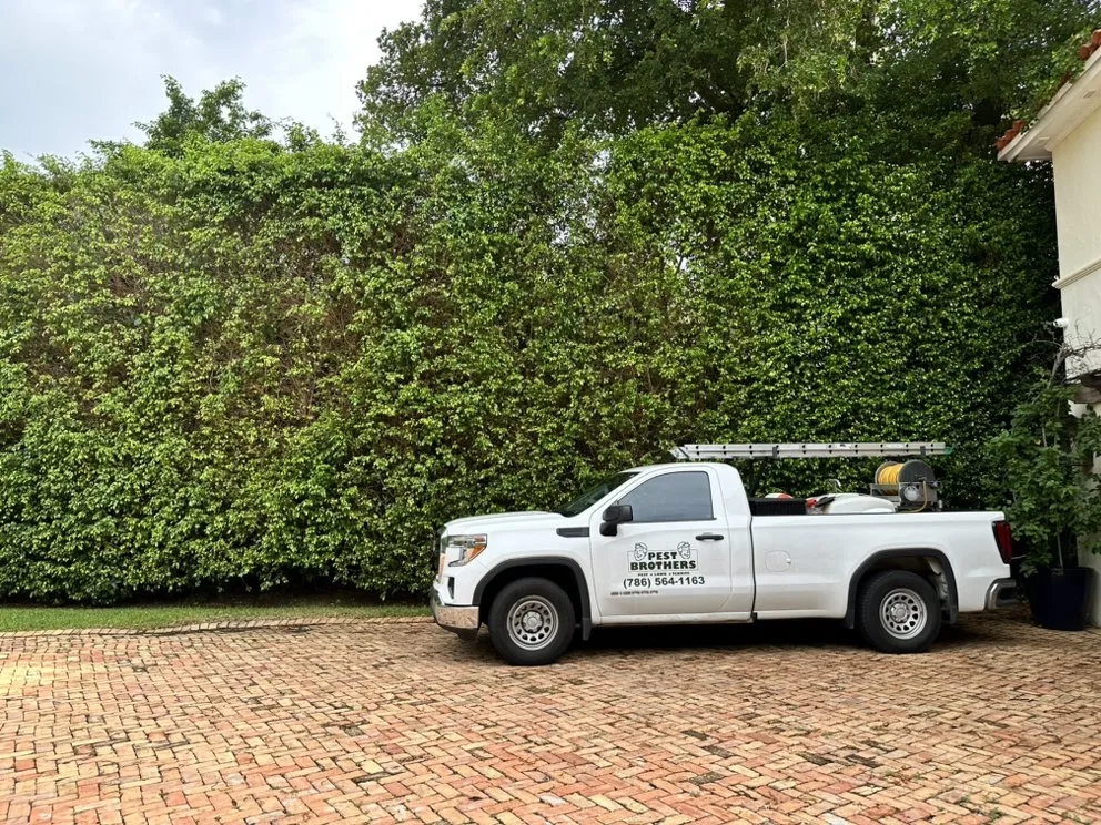 Affordable yard maintenance with custom design in Miami Lakes, FL by Pest Brothers