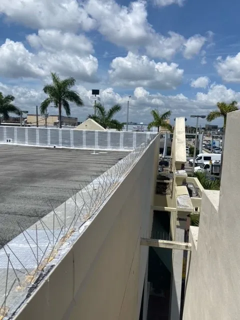 Expert lawn mowing service experts serving Miami Lakes, FL - Pest Brothers