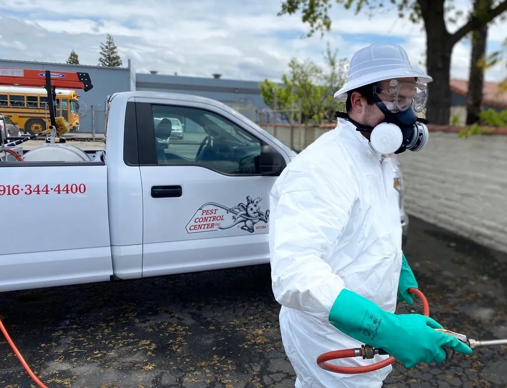 Professional yard maintenance with custom design in North Highlands, CA by Pest Control Center