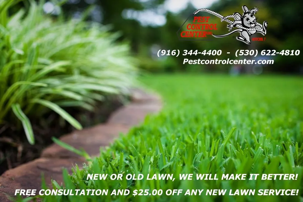 Top-rated yard cleanup service experts serving North Highlands, CA - Pest Control Center