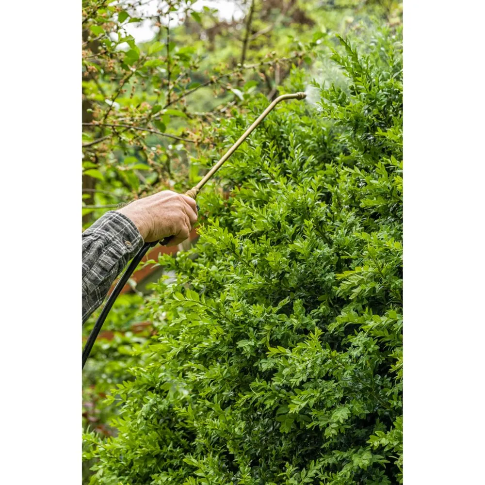 Top-rated yard maintenance near you in Pompano Beach, FL by Pest Control of Broward