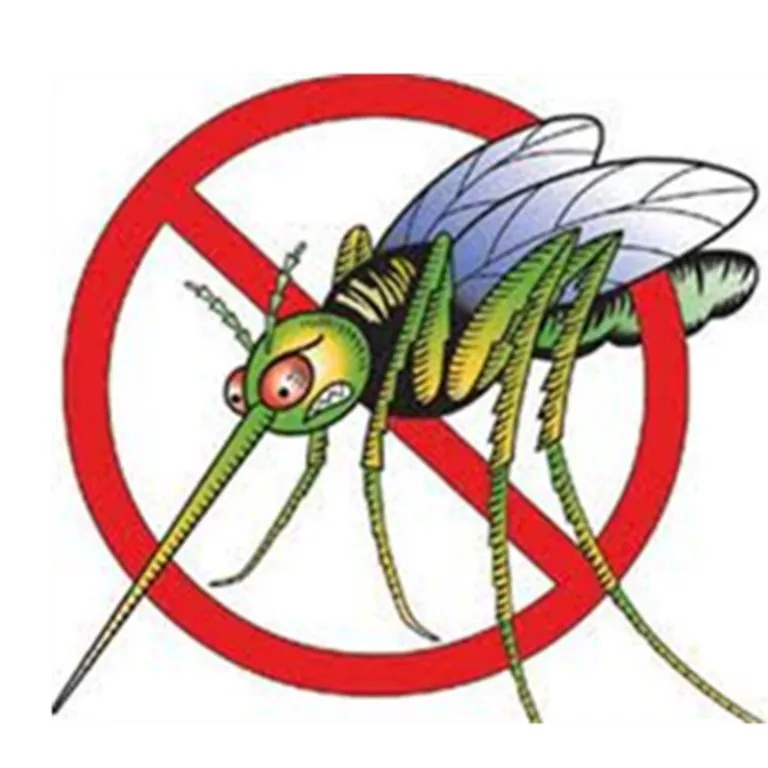 Affordable yard cleanup service in Monroe, GA - Pest Force