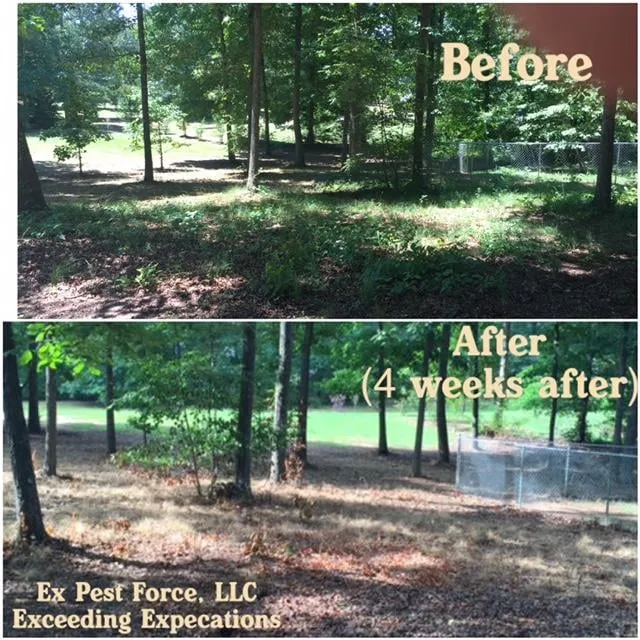 Professional lawn care service for outdoor upgrades across Monroe, GA - Pest Force