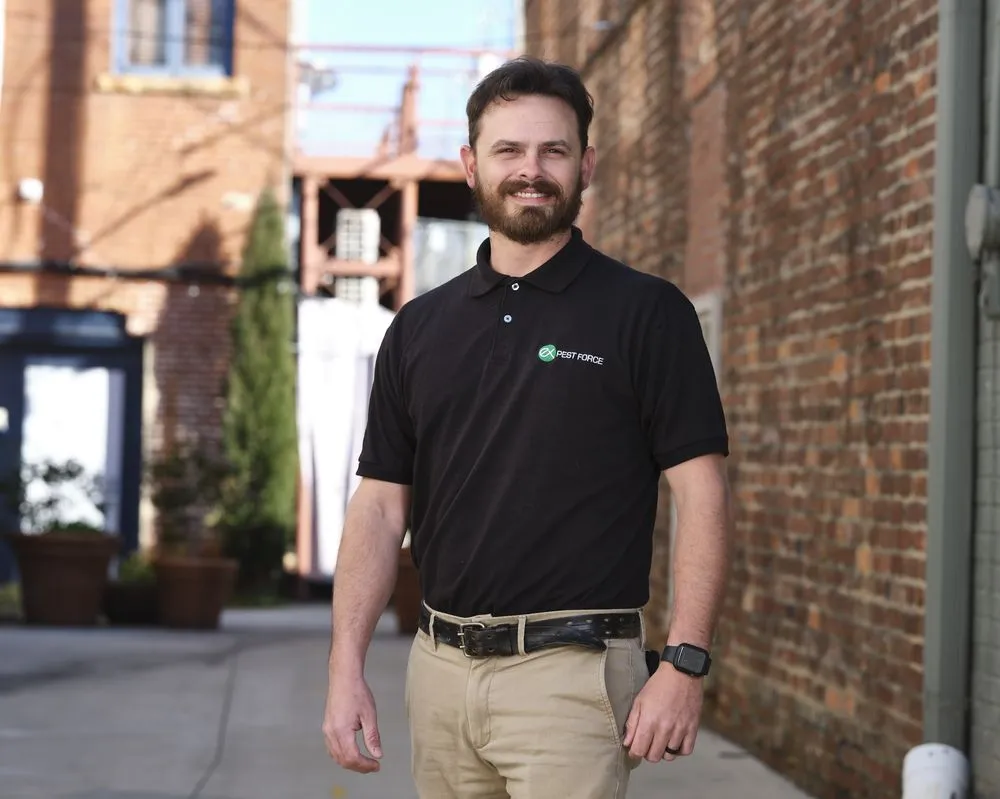 Expert landscape installation in Monroe, GA - Pest Force