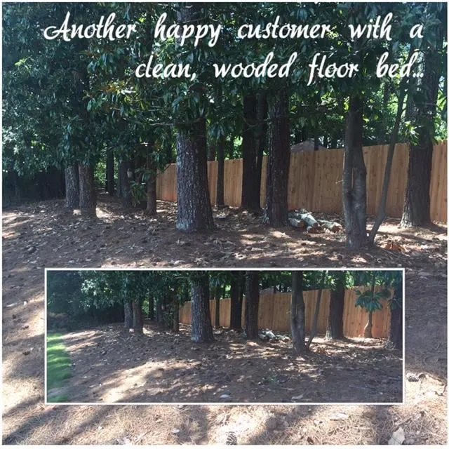 Custom lawn mowing service experts serving Monroe, GA - Pest Force