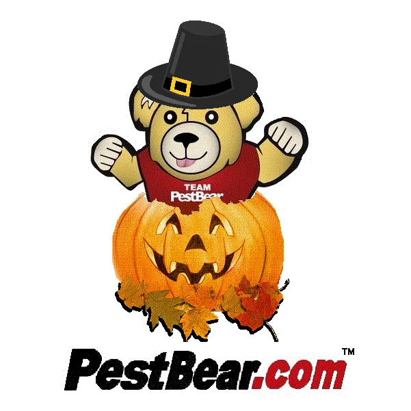 Custom landscape design for year-round maintenance across Fort Myers, FL - PestBear