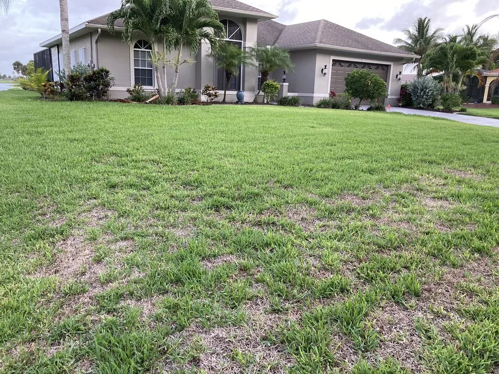 Trusted lawn mowing service in Fort Myers, FL - PestBear