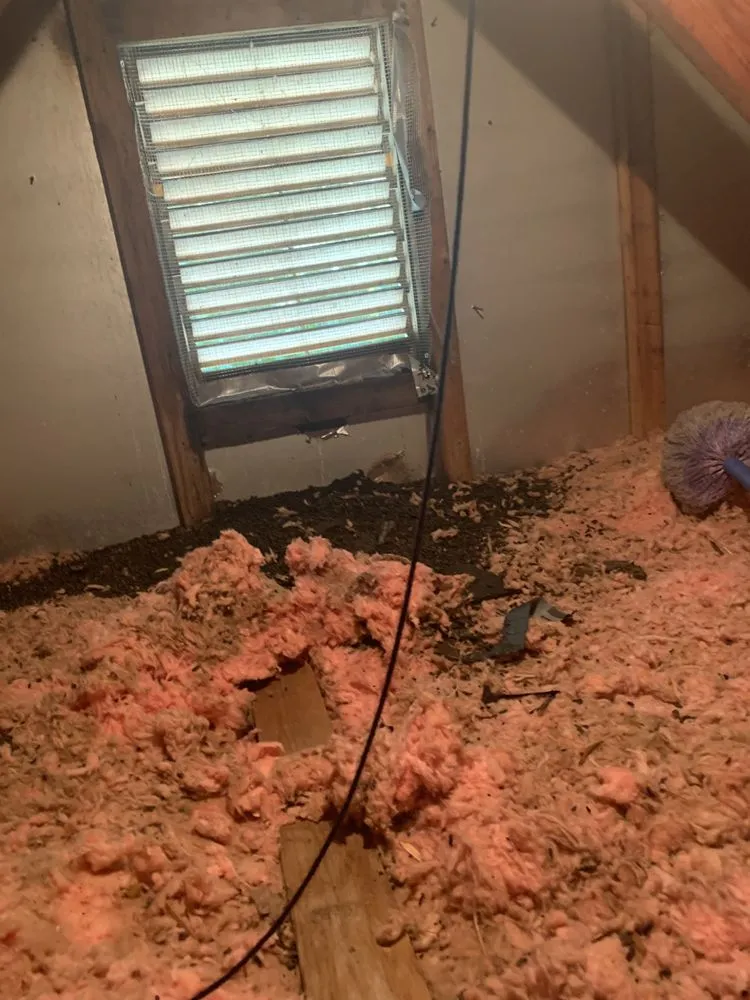 Reliable landscaping services experts serving Lusby, MD - Pestivo Pest Solutions