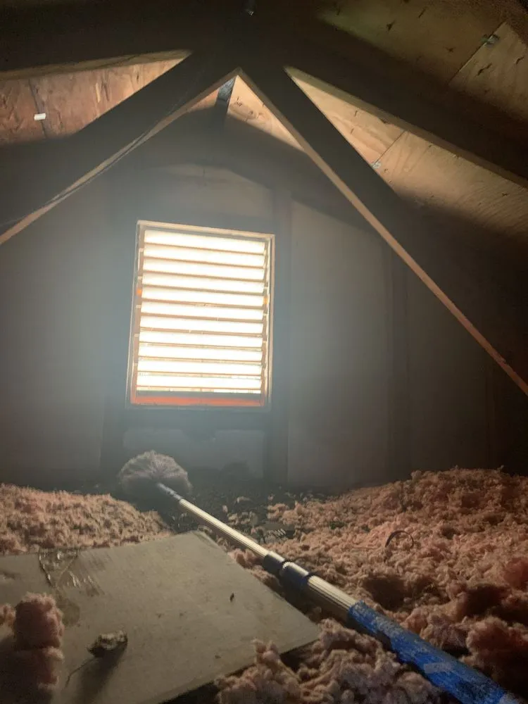 Professional lawn mowing service in Lusby, MD by Pestivo Pest Solutions