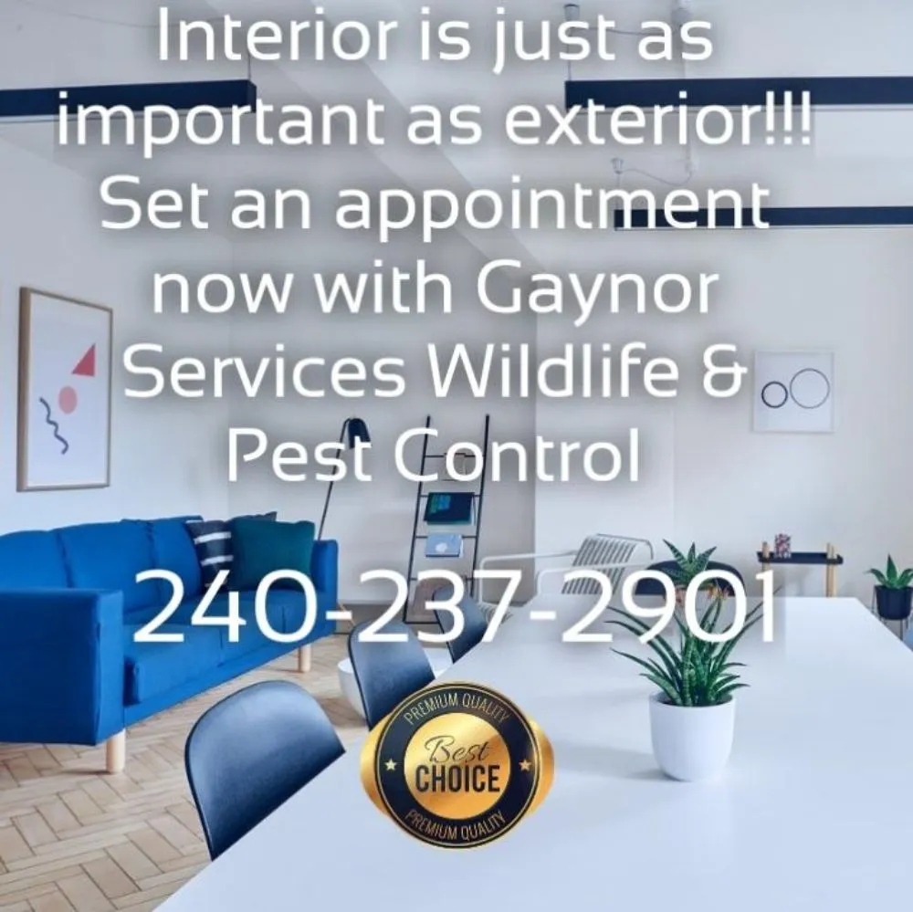 Top-rated yard maintenance for residential properties in Lusby, MD by Pestivo Pest Solutions