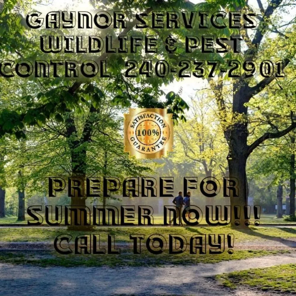 Affordable lawn care service for year-round maintenance across Lusby, MD - Pestivo Pest Solutions