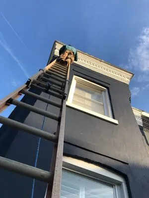 Pestivo Pest Solutions