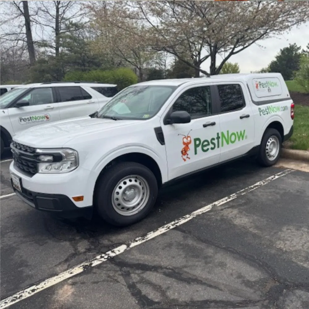 Affordable yard cleanup service for homes in Ijamsville, MD by Pestnow of Maryland