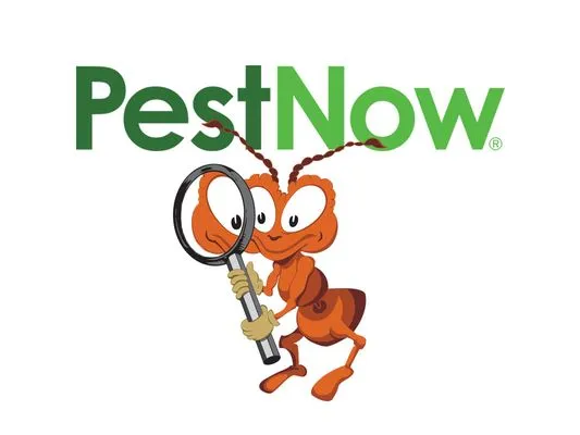 Pestnow of Maryland