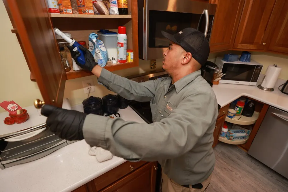 Custom outdoor landscaping in Owings Mills, MD - Pestnow