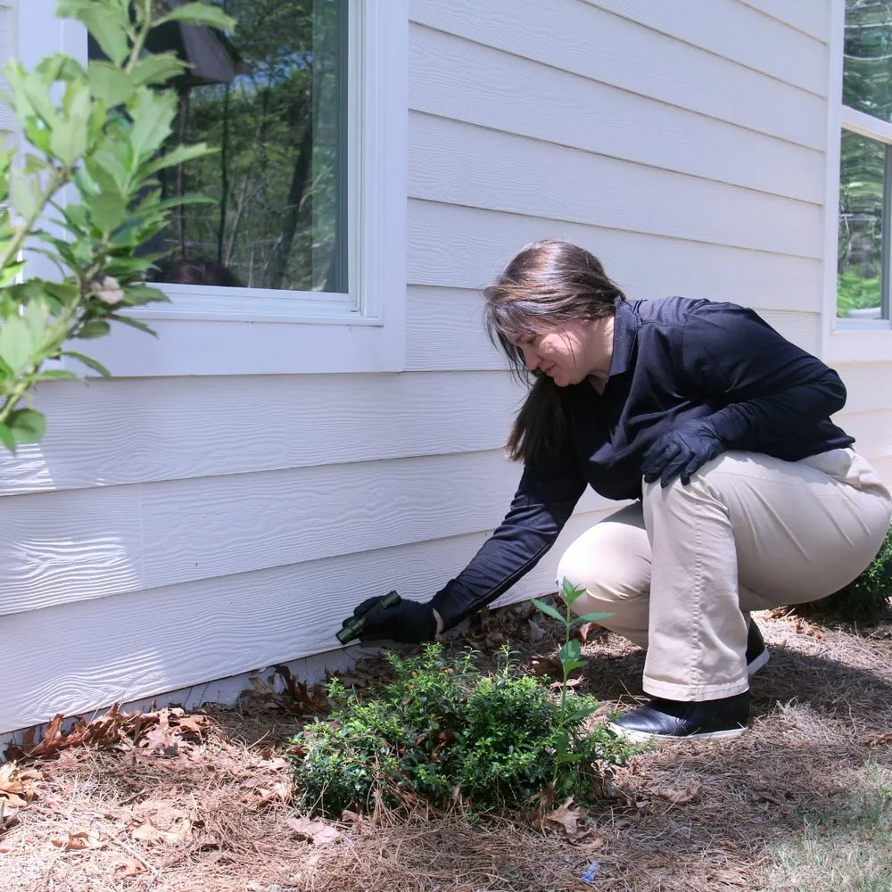 Affordable landscaping services for beautiful yards in Owings Mills, MD by Pestnow