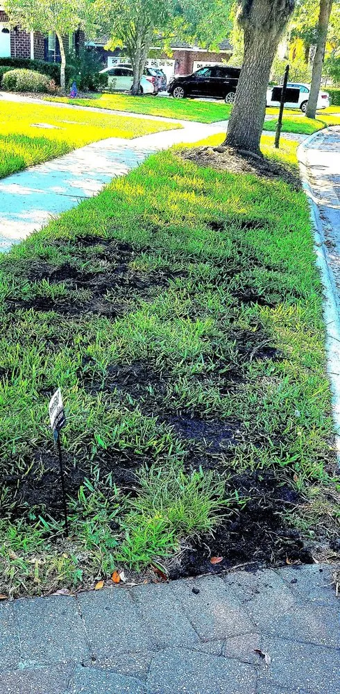 Custom yard maintenance experts serving Fleming Island, FL - Pestology