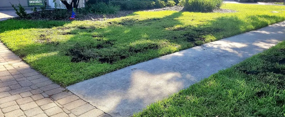 Custom yard cleanup service near you in Fleming Island, FL by Pestology