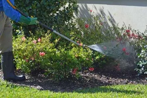 Custom yard maintenance in Red Wing, MN - Pestop