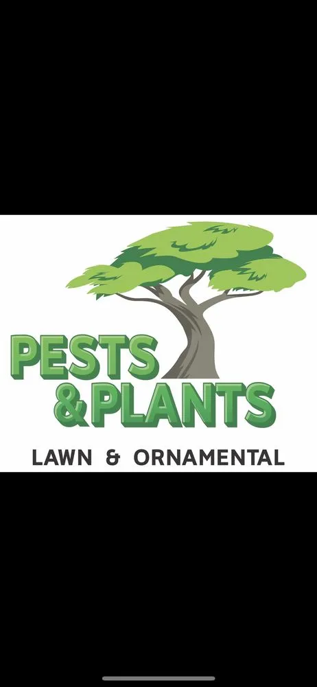 Professional landscaping services near you across Miami, FL - Pests and Plants