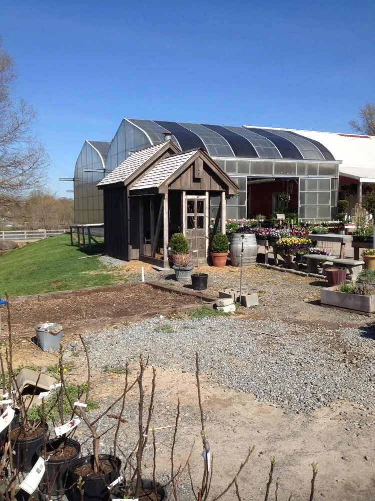 Top-rated outdoor landscaping for year-round maintenance in Round Hill, VA by Petals & Hedges