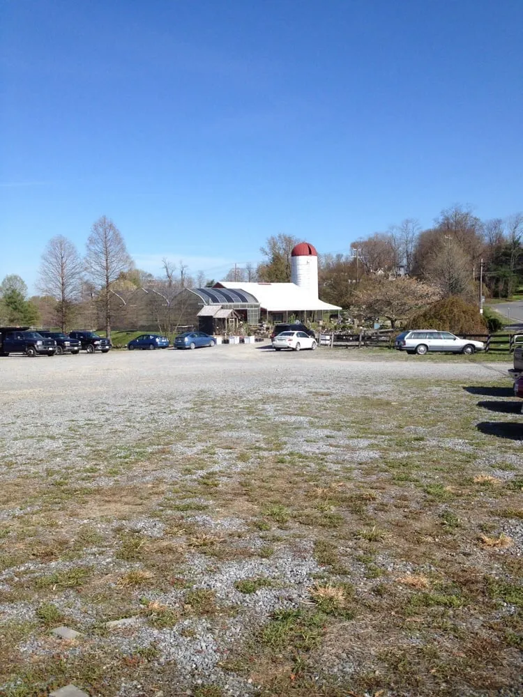 Affordable yard maintenance in Round Hill, VA by Petals & Hedges