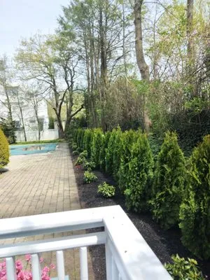 Pete Marini Landscaping Logo