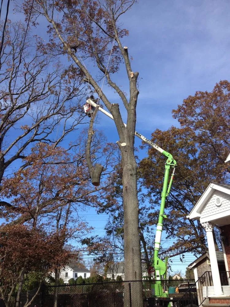 Local lawn mowing service in Harrison, NY - Peter A Navarra Landscaping