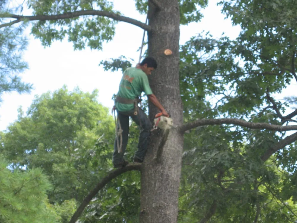 Custom landscape installation in Harrison, NY - Peter A Navarra Landscaping