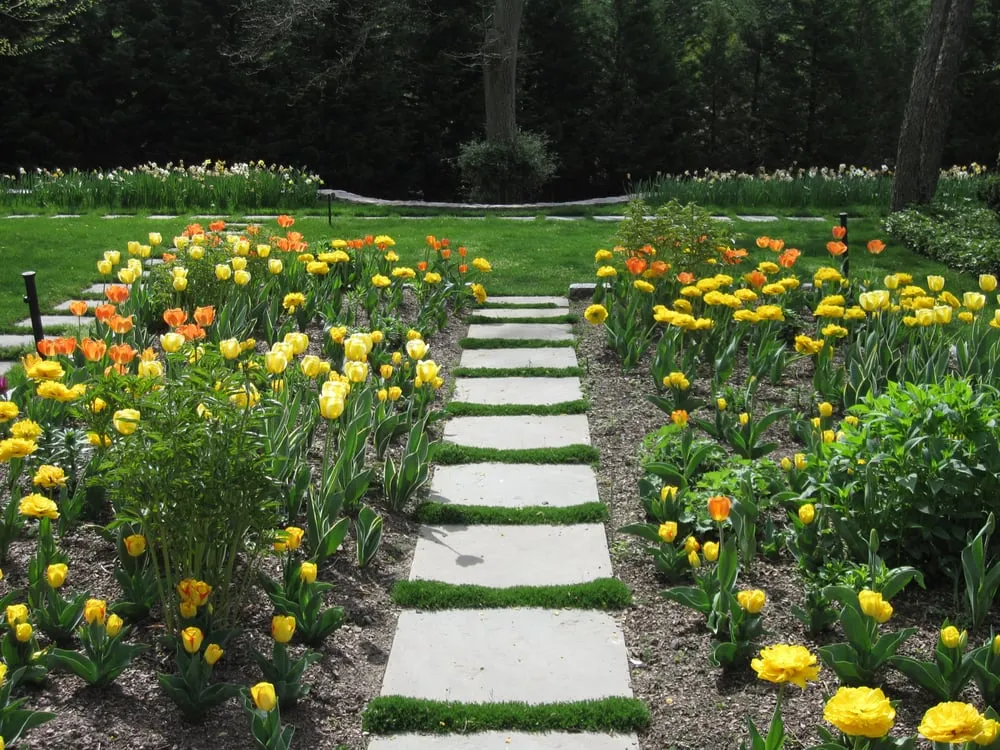 Top-rated yard cleanup service experts serving Harrison, NY - Peter A Navarra Landscaping