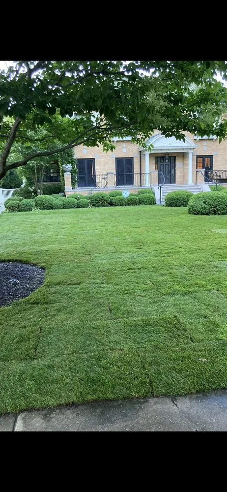 Professional landscape installation for outdoor upgrades across Park City, IL - Peter Guz Landscaping & Maintenance