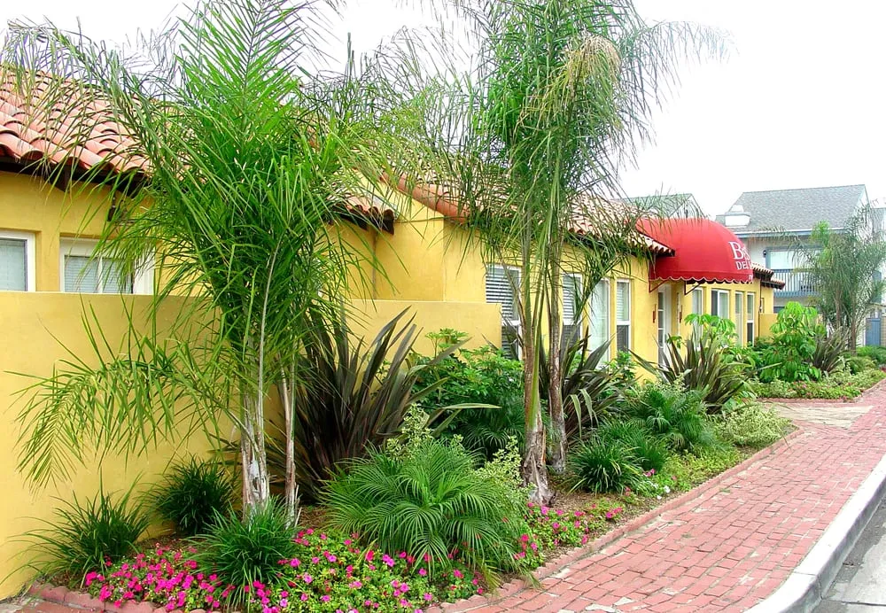 Top-rated yard cleanup service experts serving Huntington Beach, CA - Peter Hamill Landscape & Design