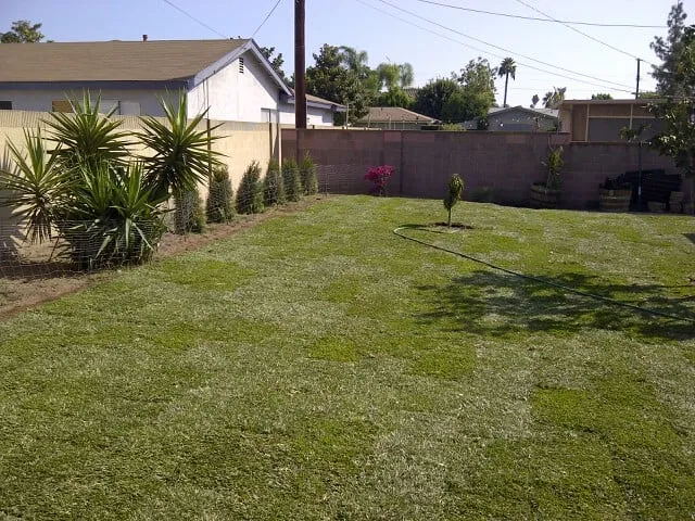 Professional landscape design for residential properties across Huntington Beach, CA - Peter Hamill Landscape & Design