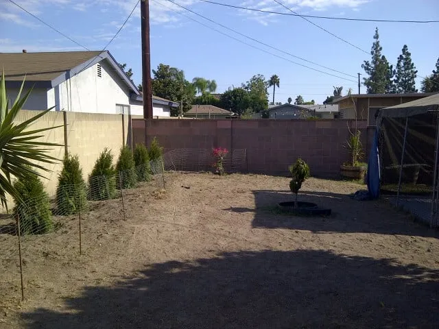 Expert lawn mowing service in Huntington Beach, CA by Peter Hamill Landscape & Design