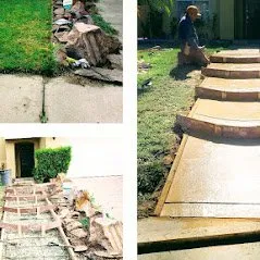 Trusted yard maintenance in Antioch, CA - Peter Landscaping and Handyman Services