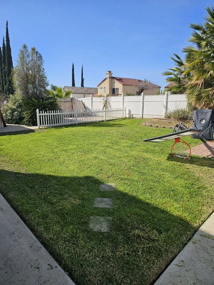 Top-rated landscaping services in Riverside, CA by Peter Landscaping