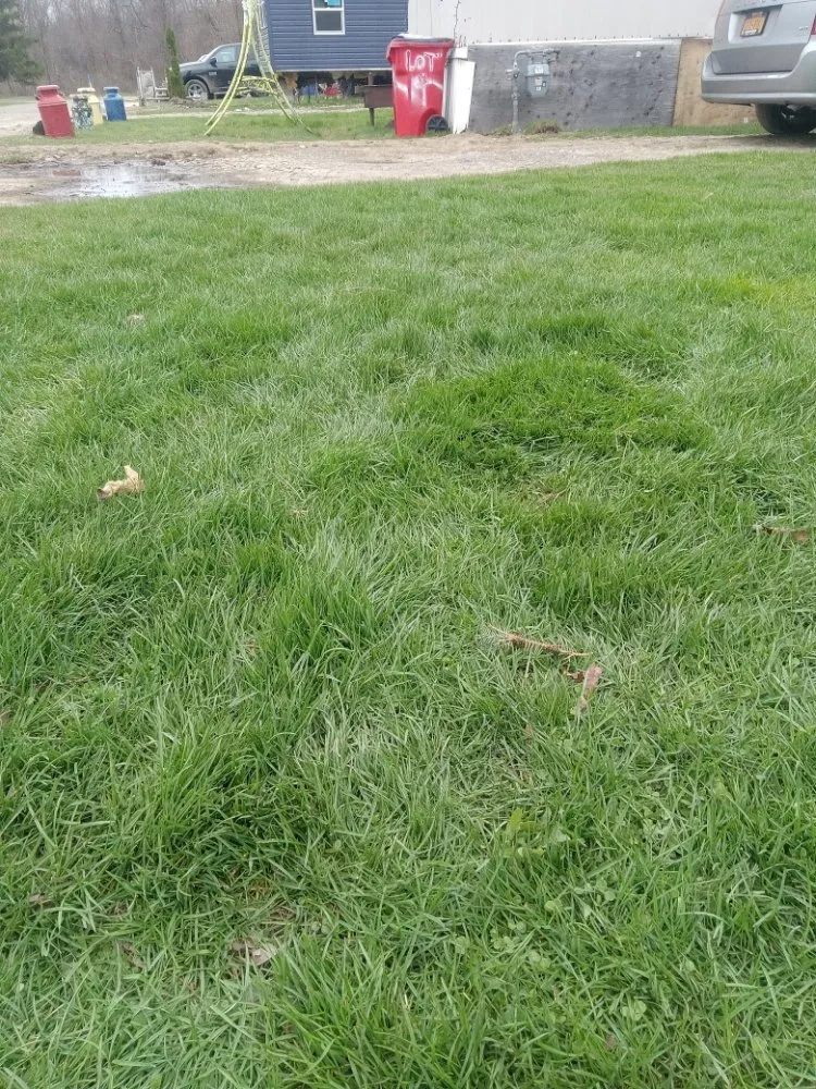 Reliable residential landscaping in Brocton, NY - Peter Lawn Maintenance