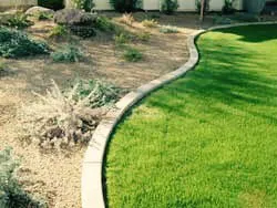 Affordable yard maintenance for beautiful yards across Sacramento, CA - Peter Nguyen's Landscaping