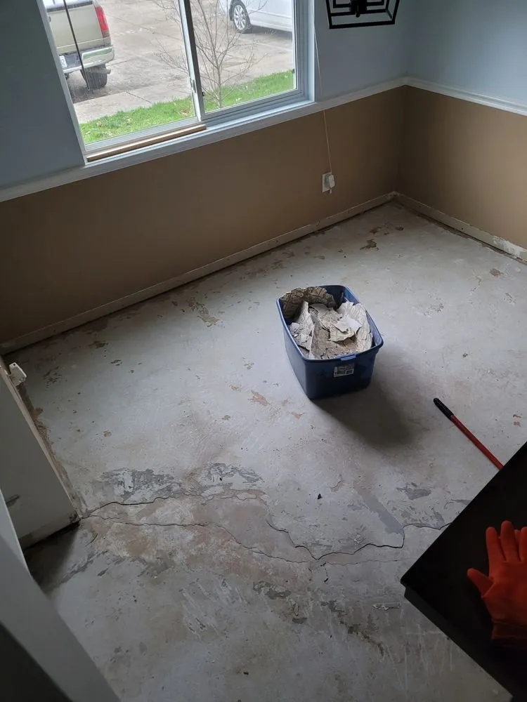 Local yard cleanup service in Tampa Bay, FL - Peter Pressure Cleaning