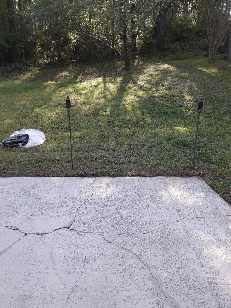 Top-rated yard cleanup service for beautiful yards across Tampa Bay, FL - Peter Pressure Cleaning