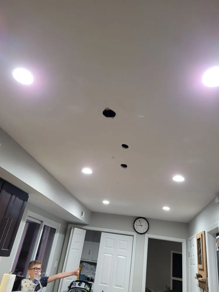 Local landscape design in Tampa Bay, FL - Peter Pressure Cleaning