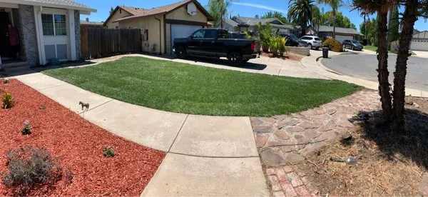 Peter Waite and Sons Garden Service