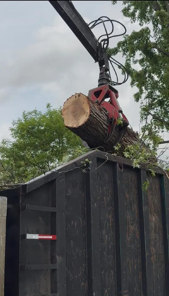 Expert yard maintenance in West Jefferson, OH by Peterman Brothers Tree Service