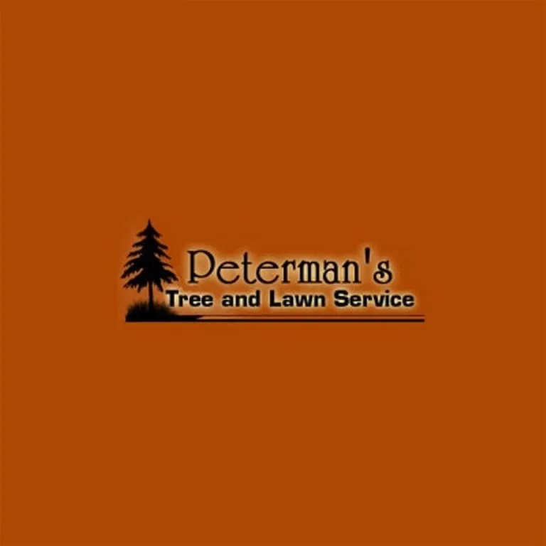 Reliable yard cleanup service experts serving West Jefferson, OH - Peterman Brothers Tree Service
